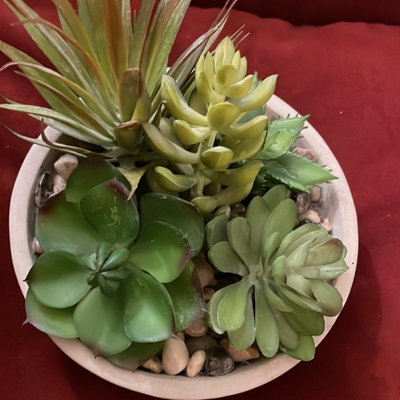 5 Artificial Succulent Plants Small Faux Cacti Mini Potted Plants Indoor Decor - Picture 6 of 6